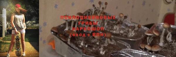 скорость Балахна